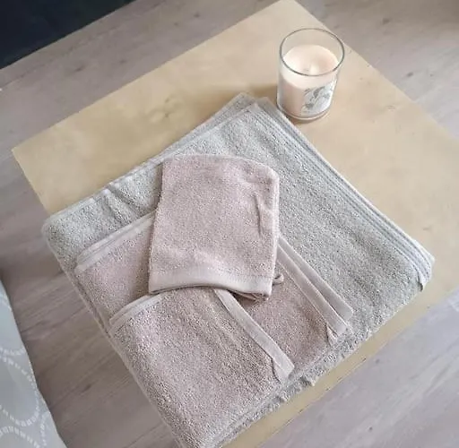 Lejlighed Avec Balcon Pau